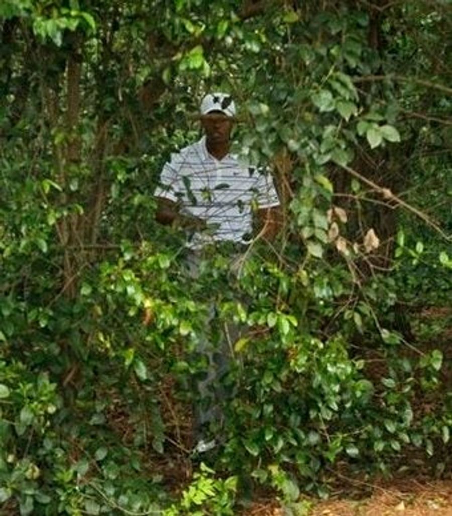 Tiger Woods Somehow Not Winning Tiger Woods Invitational
