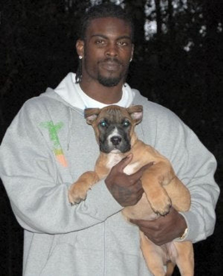 Michael Vick, Somehow, With Even Less Credibility