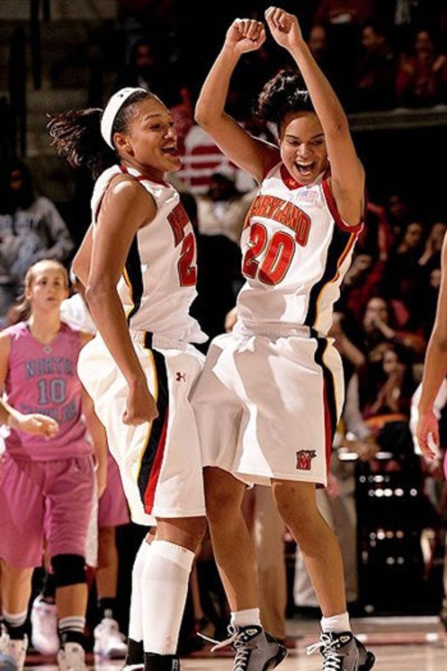 The Horrbile Truth: Lady Terrapins Eat Kids
