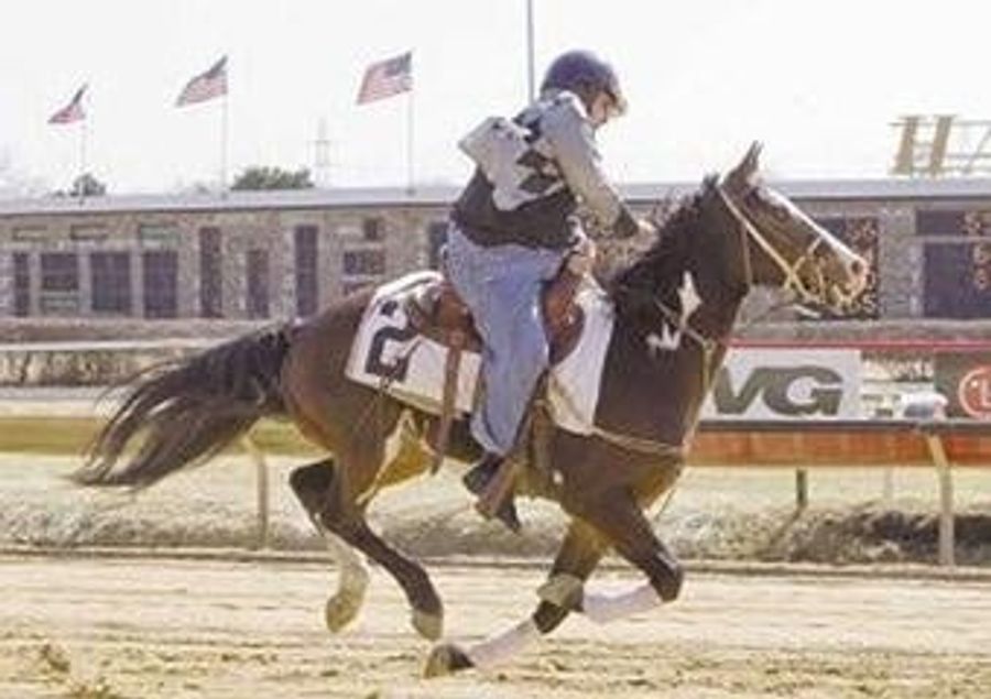 Radio Jockeys Make Horrible Jockeys