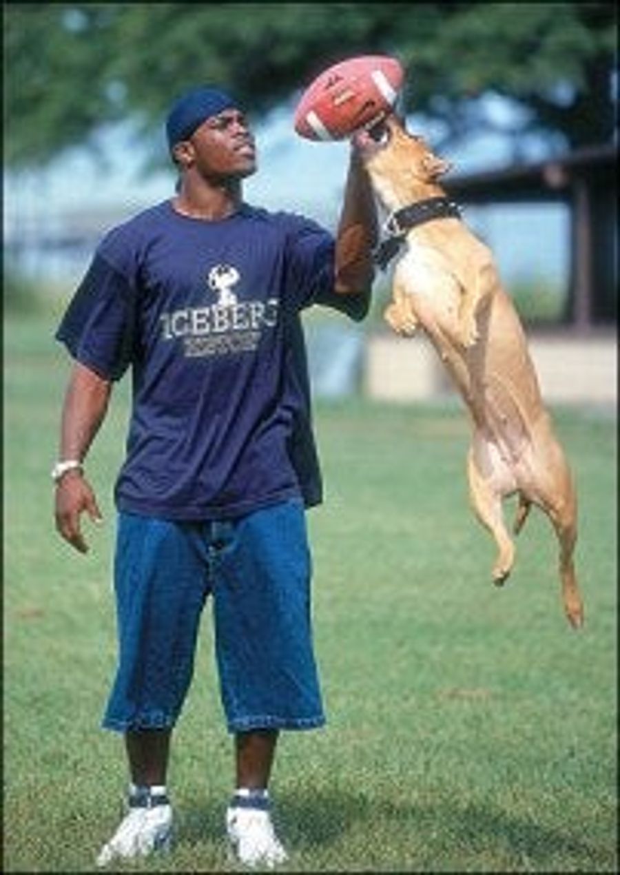 A Michael Vick Defender Anonymously Steps Forward To Offer Perspective