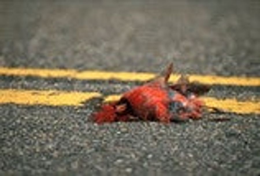 Thankfully, Simmons Picked The Cardinals