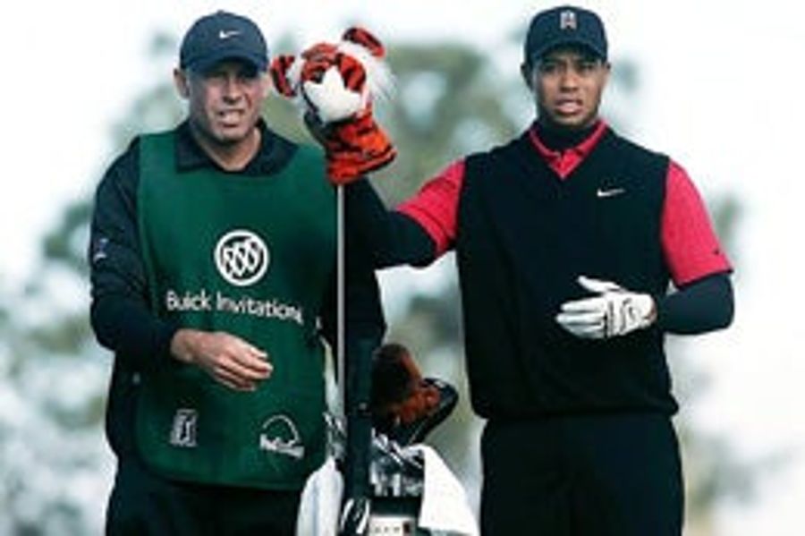 Tiger Is Not Amused