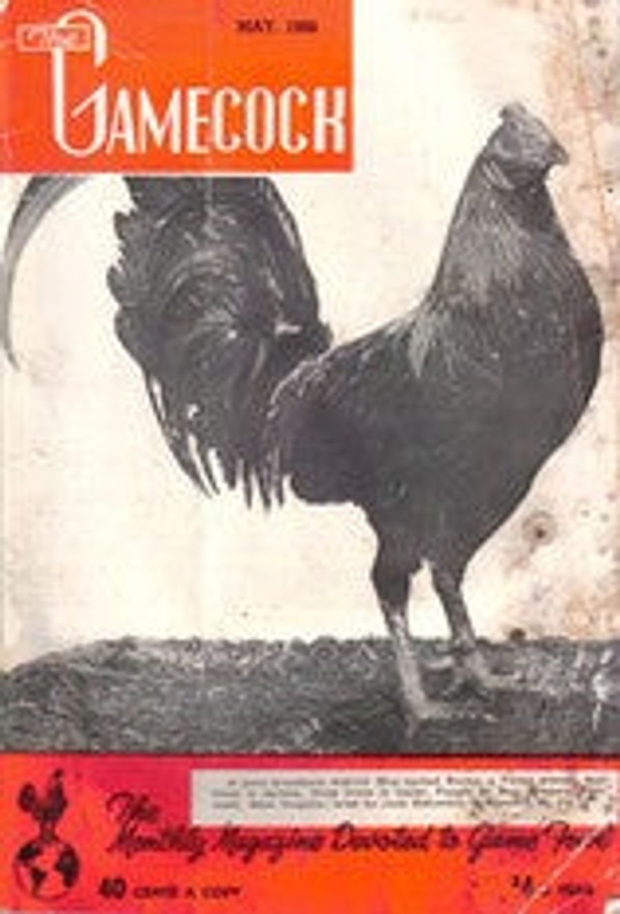 Old Cockfighting Magazine Quotes
