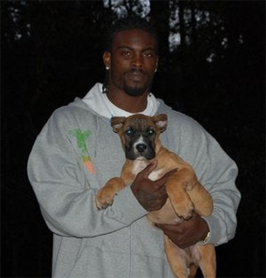 Afternoon Blogdome: Saving Mike Vick&#39;s Dogs