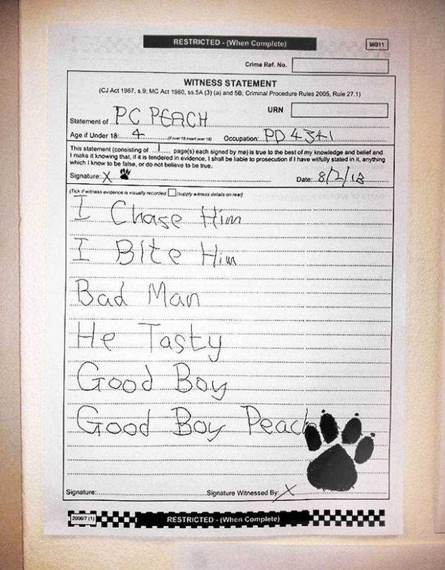 &quot;I Chase Him, I Bite Him, Bad Man, He Tasty&quot;: Police Dog Writes Witness Statement