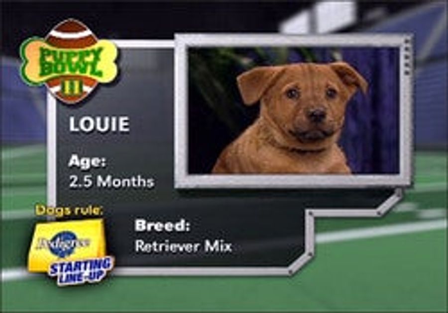 Refreshingly Free Of Jim Nantz, It's Puppy Bowl III