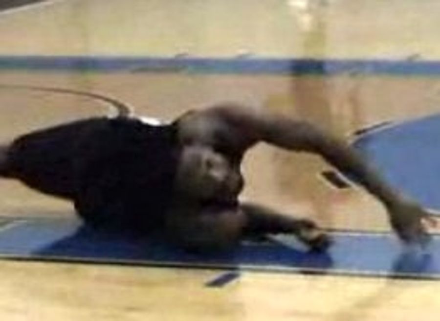 DeShawn Stevenson Doesn&#39;t Care About His Money
