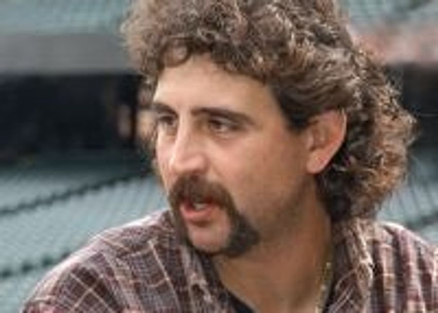Blogdome: Fasano Rides Are Free