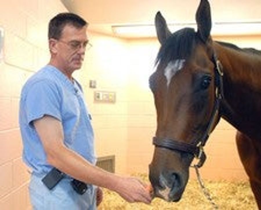 Barbaro Fans Finally Go Too Far, Piss Off Dr. Richardson