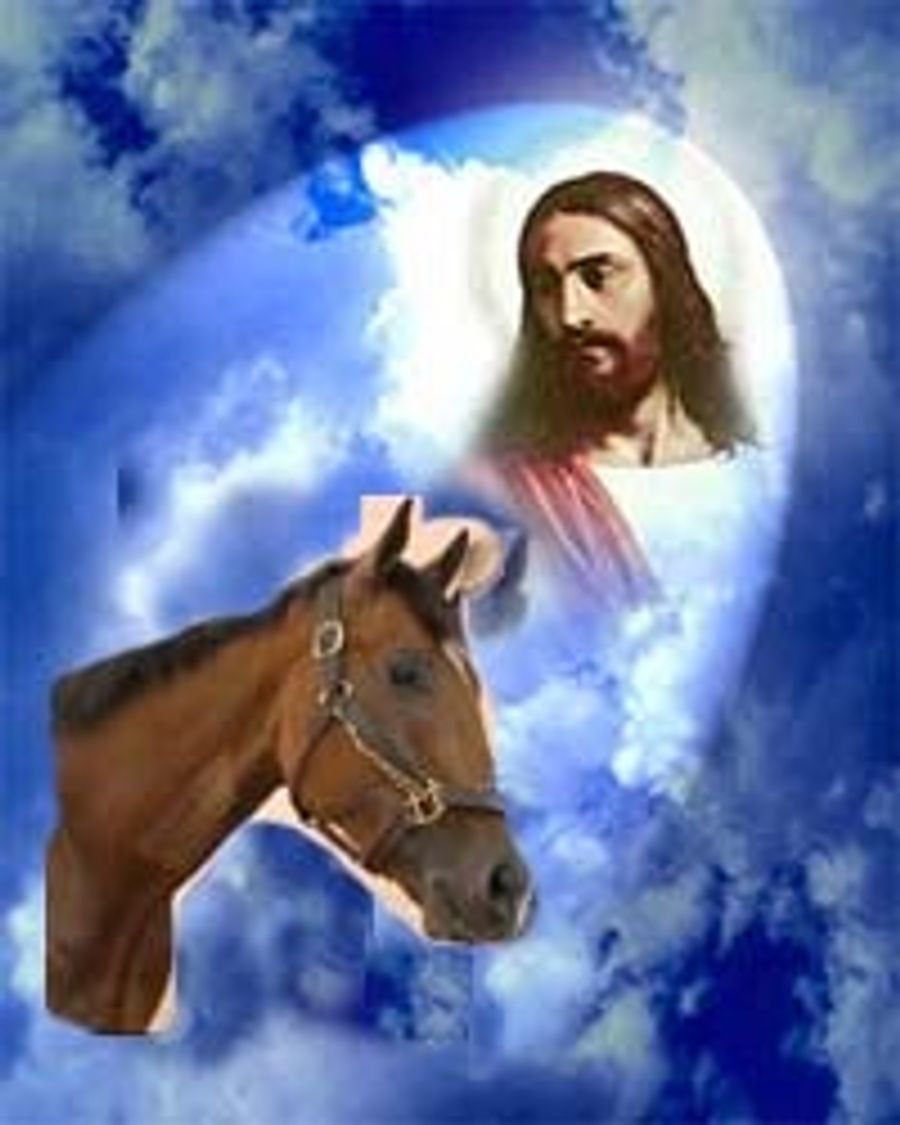 Planning For That Sad Time When Barbaro Leaves Us