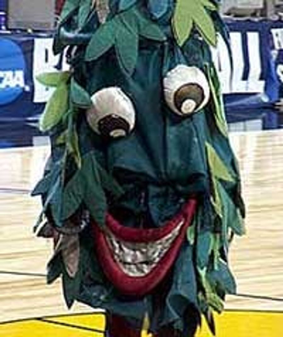 The Ballad Of Stanford's Misbehaving Tree