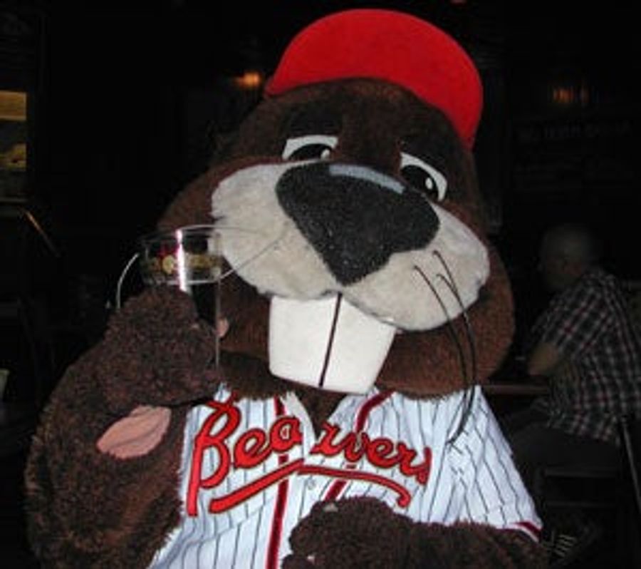 Minor Enterprise: May I See Your Invitation, Senor Beaver?