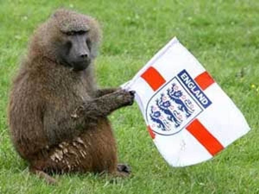 England Gets An Opposable Thumbs Up