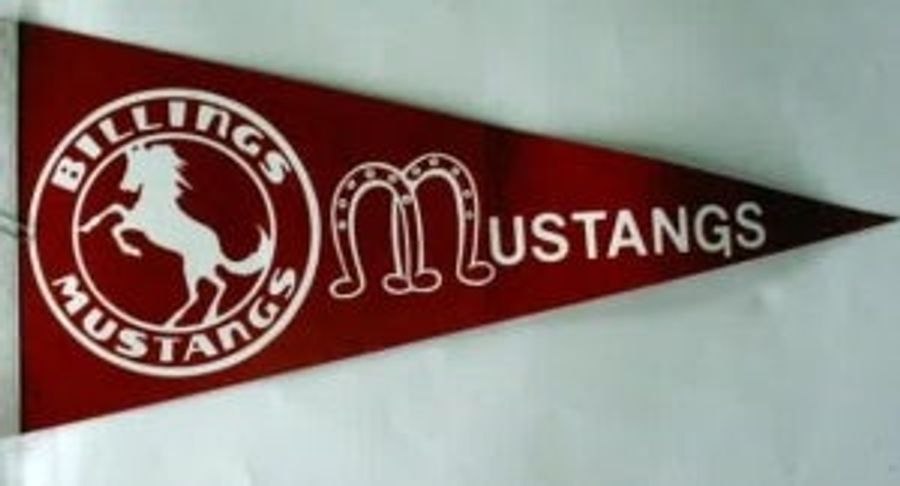 All You Ever Wanted To Know About The Billings Mustangs...