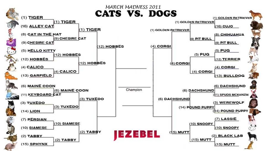 Cats vs. Dogs: The Top Seeds Have Left The Building