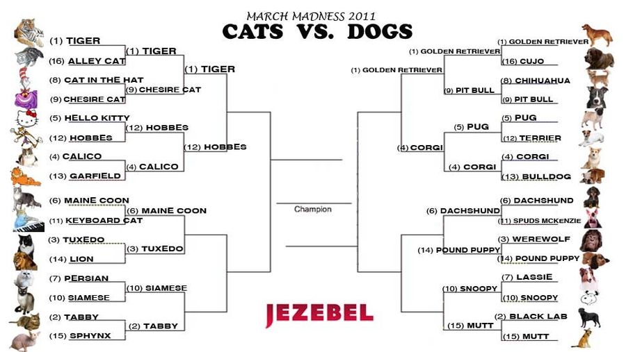 Cats vs. Dogs: The Beasts Go Marching One By One, Hurrah, Hurrah