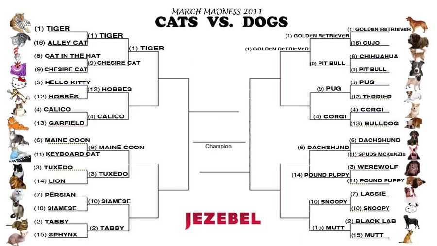 Cats vs. Dogs: The Claws And Paws Are Out
