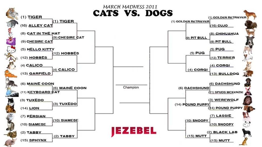 Cats vs. Dogs: Let The Sweet Sixteen Begin!