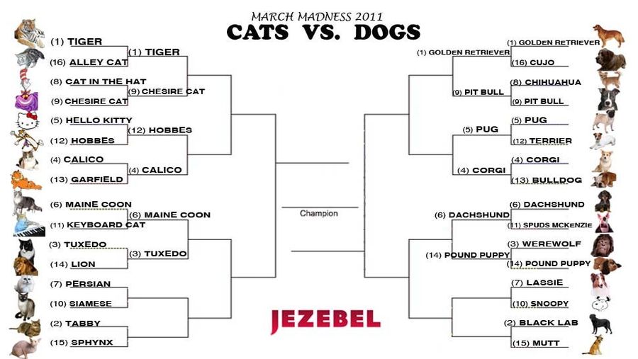 Cats vs. Dogs: A Major Upset!