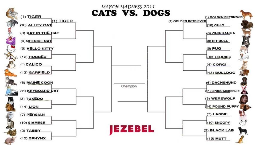 Cats vs. Dogs Tournament: Today&#39;s Matchup Is A Doozy