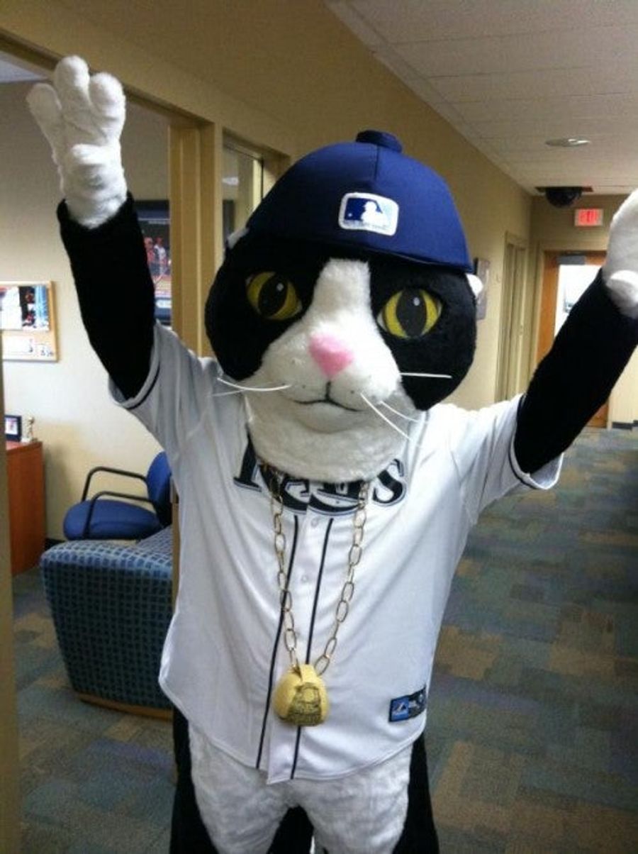 The Rays Now Lead The AL East In Mascots