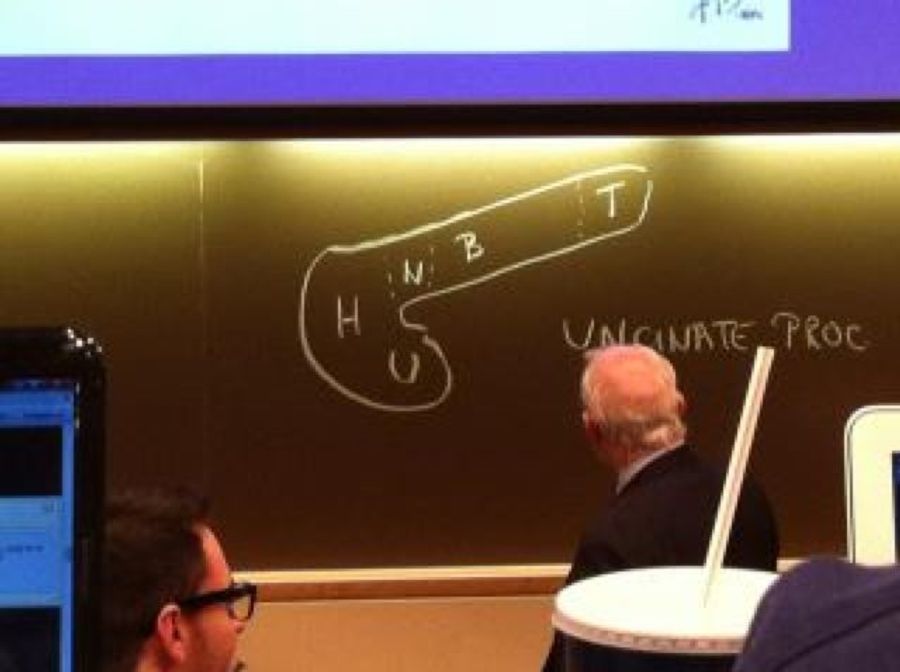 This Week In Unintentional Dong Submissions