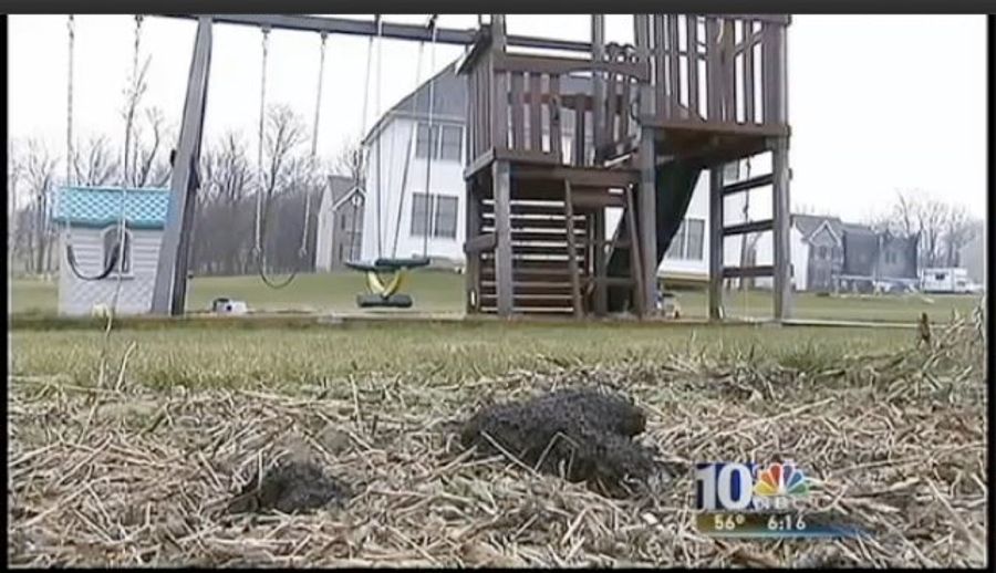 Neighbors Don&#39;t Like It When Neighbors Use People Poop As Fertilizer