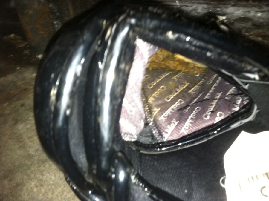 If You're Ready, We Now Have A Photo Of That Pooped-In Hockey Glove