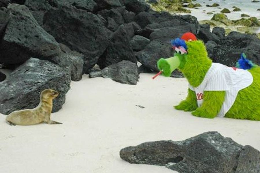 A Perfectly Designed Killing Machine, The Phillie Phanatic Silently Stalks Its Prey