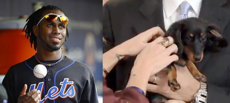 Jose Reyes Seinfeld The Puppy Begs Jose Reyes The Human To Stay With The Mets