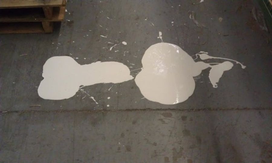 This Week In Unintentional Dong Submissions