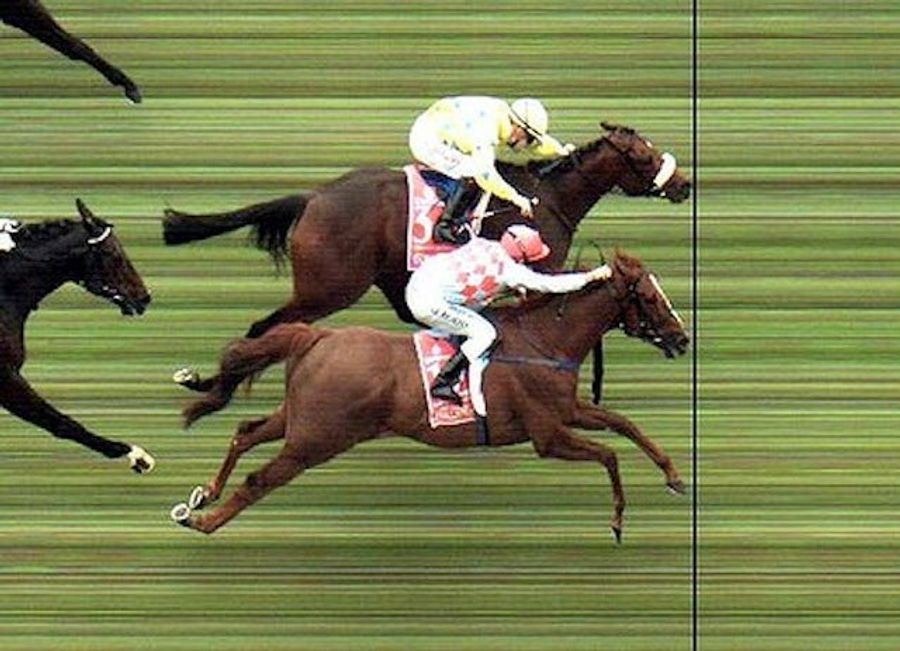 Australia's Biggest Horse Race Was Won By A Nose Hair