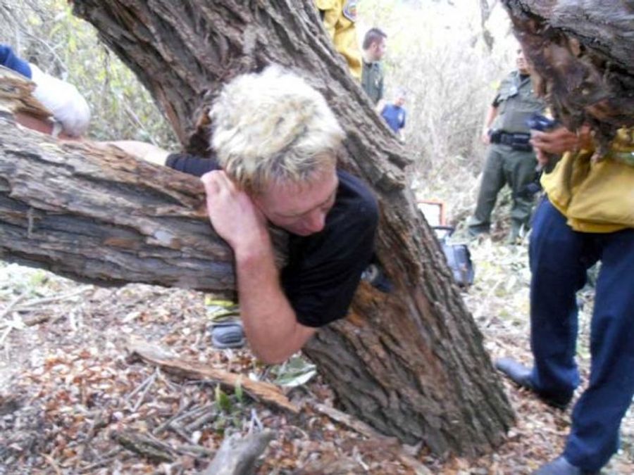 Man Not Named Lee Corso Gets Stuck Inside A Tree