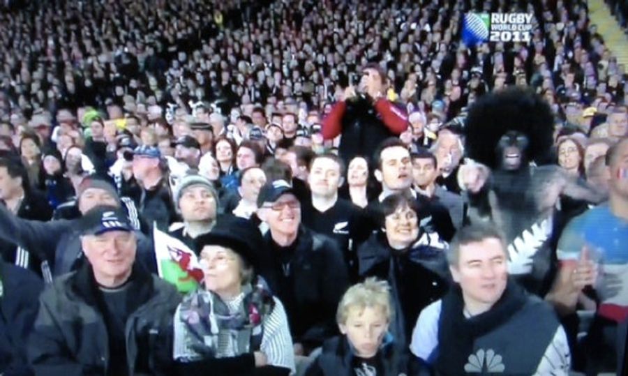 One &quot;All Blacks&quot; Fan Stands Out In This Rugby World Cup Crowd Shot