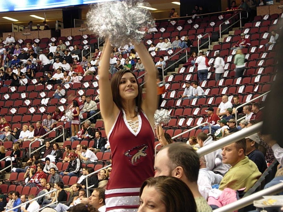 Gary Bettman Says The Coyotes Will Stay In Arizona Long After We're All Dead And The Computers Take Over And The Sun Burns Out