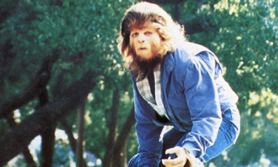 This Week In News About Werewolves