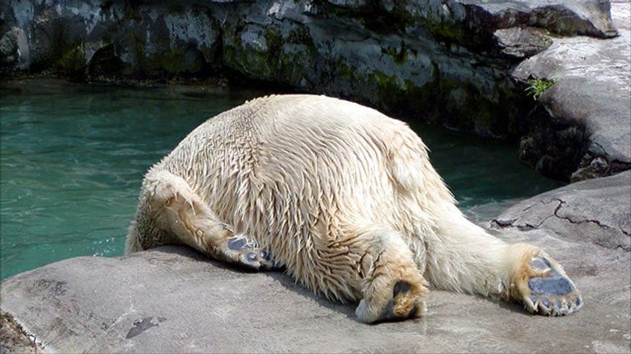This Is What It’s Like To Be Hungover At 34
