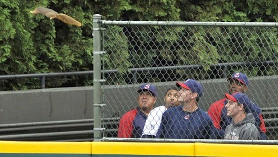 The Flying Squirrel, Like The Cleveland Indians' Playoff Hopes, Is Getting Away
