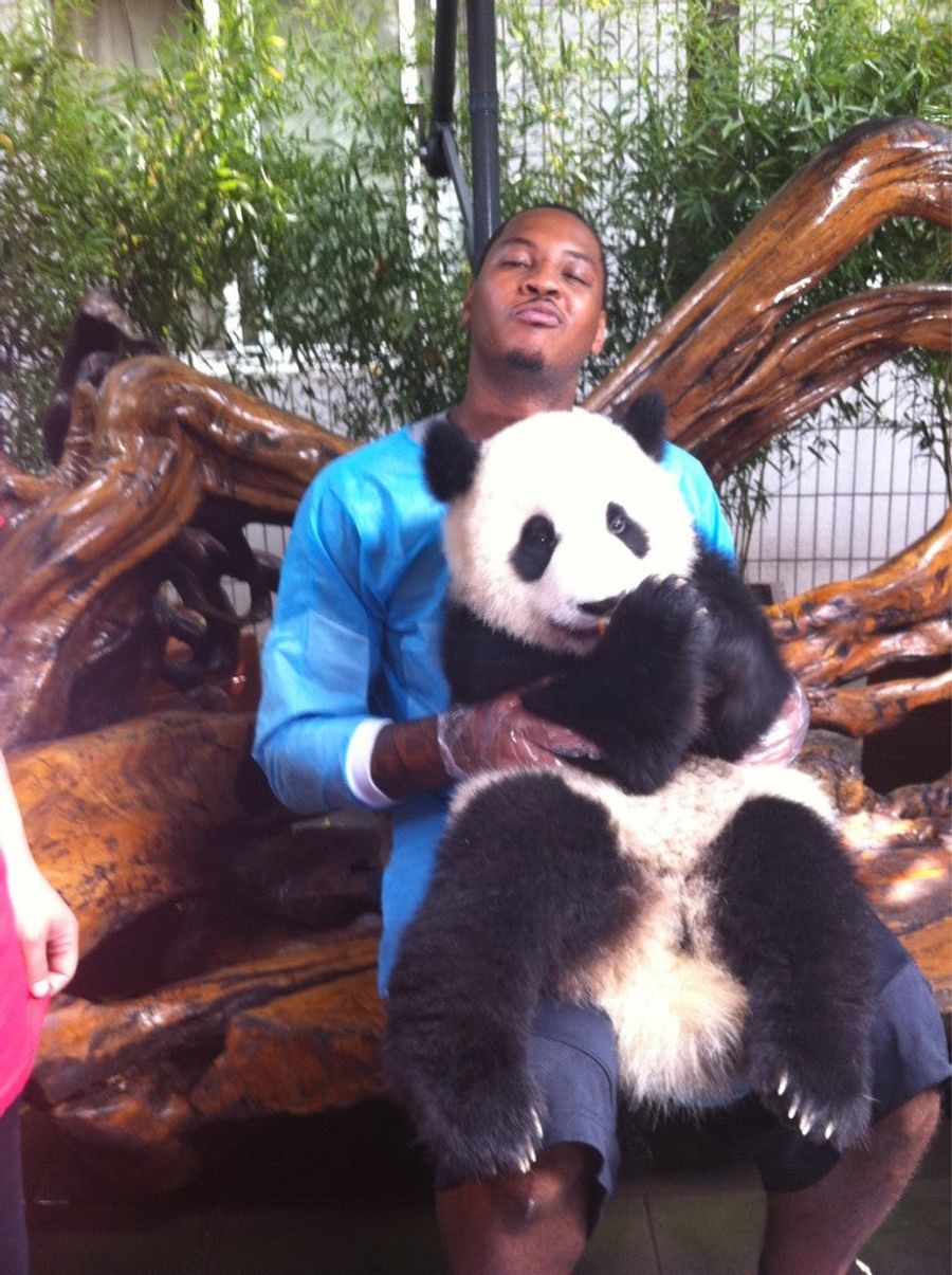 Carmelo Anthony Is The Panda Whisperer