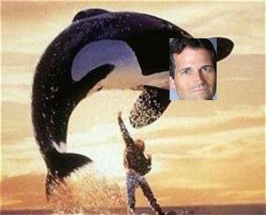Freed Bruce