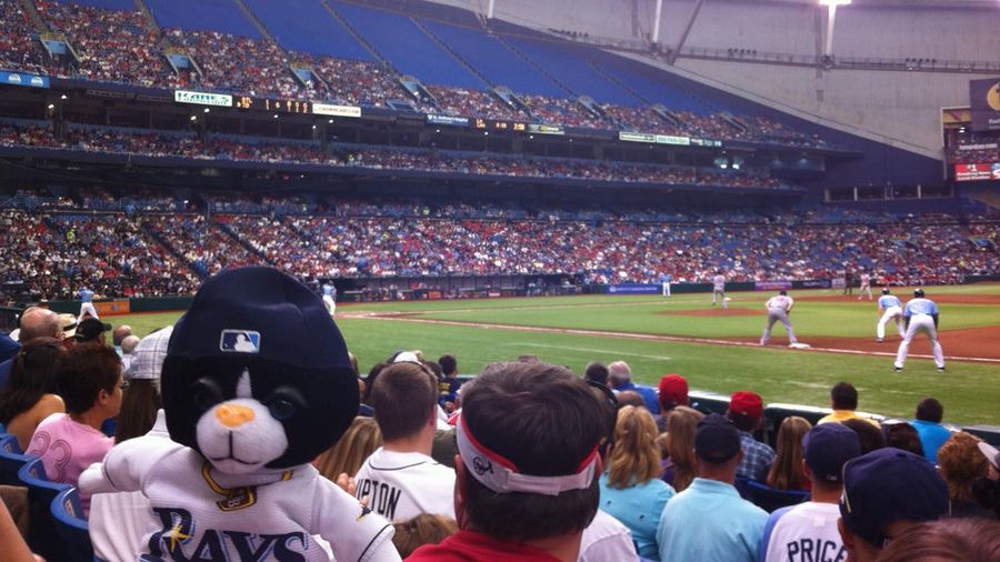 With DJ Kitty Puppet And Wiggles Concert, The Rays Might Have MLB&#39;s Best Promotions