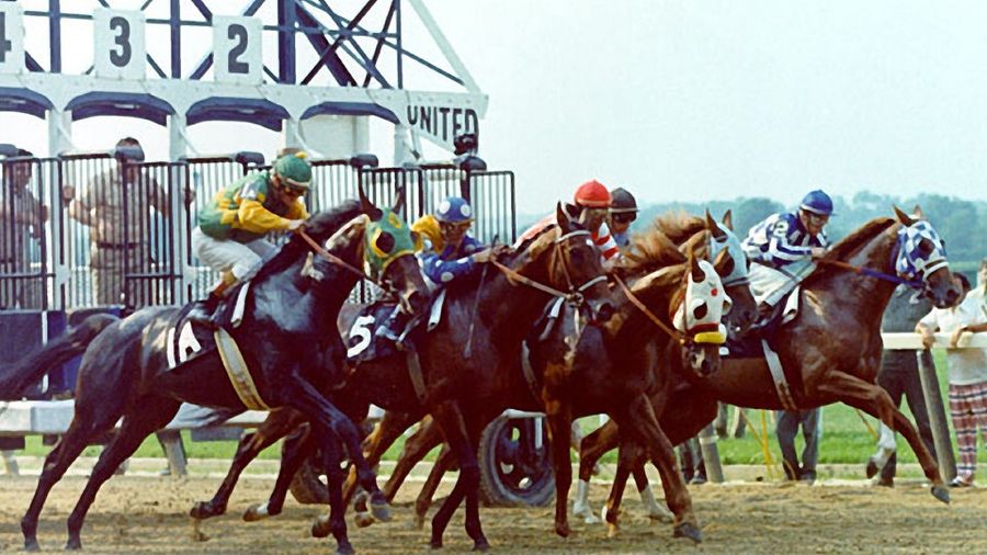 Your Belmont Stakes Open Thread