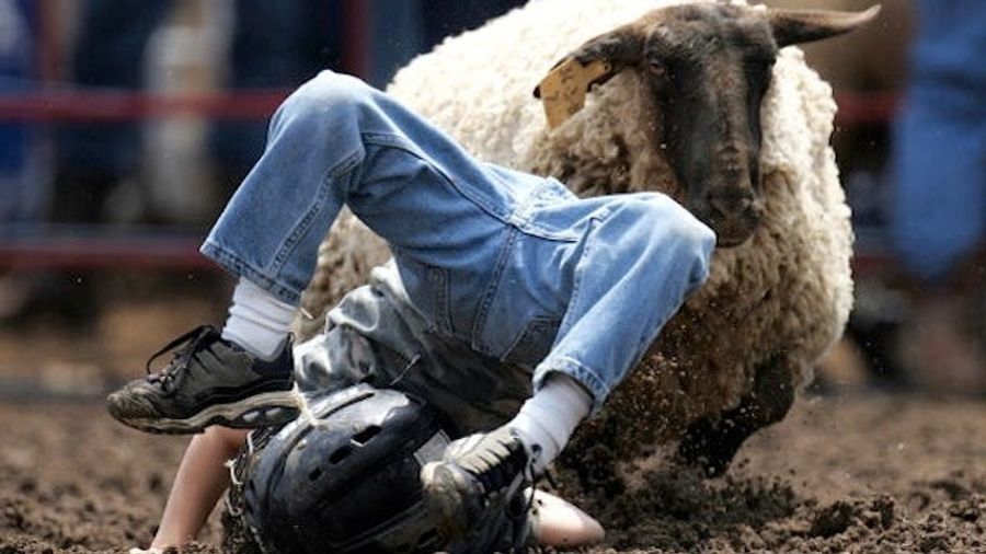 The Mutton Bustin' Season Is Officially Open