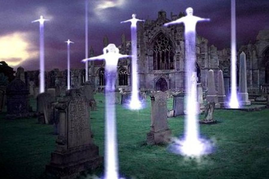 You Survived The Rapture. So Now What?