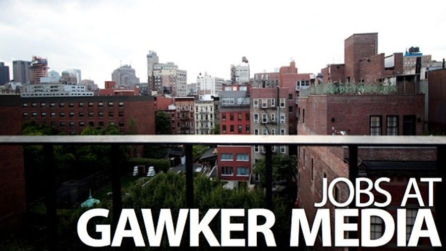 Would You Or Someone You Love Like To Be Deadspin's Editorial Assistant?