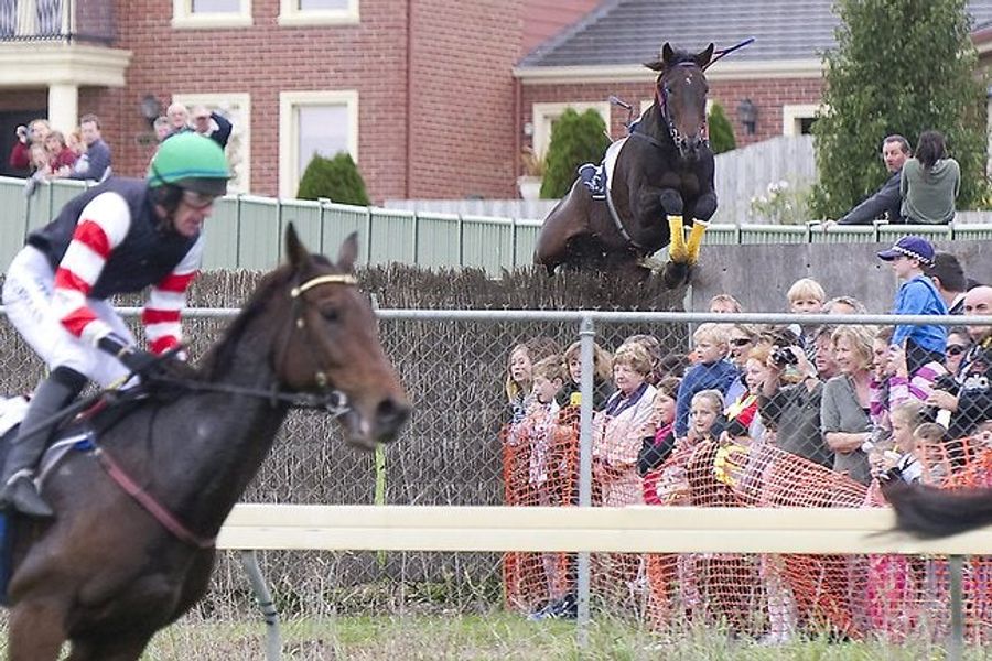 Wild Australian Horse Decides To Run Away From A Steeplechase Course And Over The Crowd