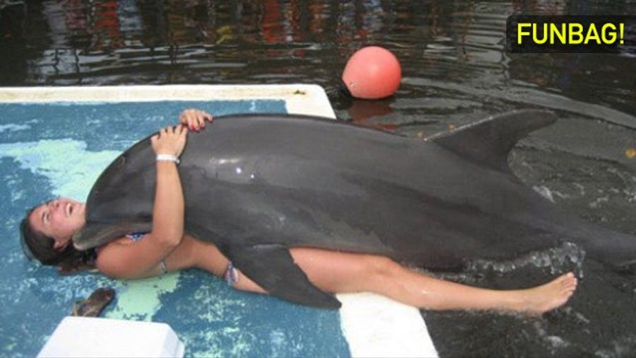 An In-Depth Logistical Exploration Of Animal Rape