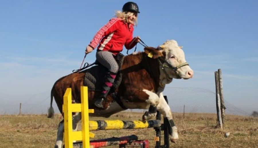 There's A Teenage German Girl Who Rides Cows Like They're Horses