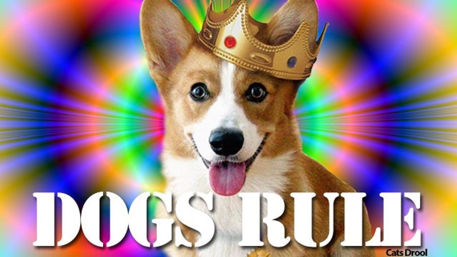 Cats vs. Dogs: We Have A Winner!